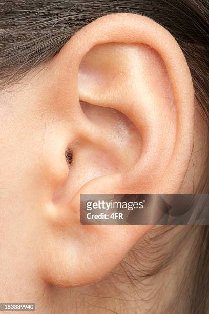 human ear (xxxl) - ear stockfoto's en -beelden