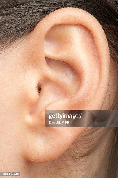 human ear (xxxl) - öra bildbanksfoton och bilder
