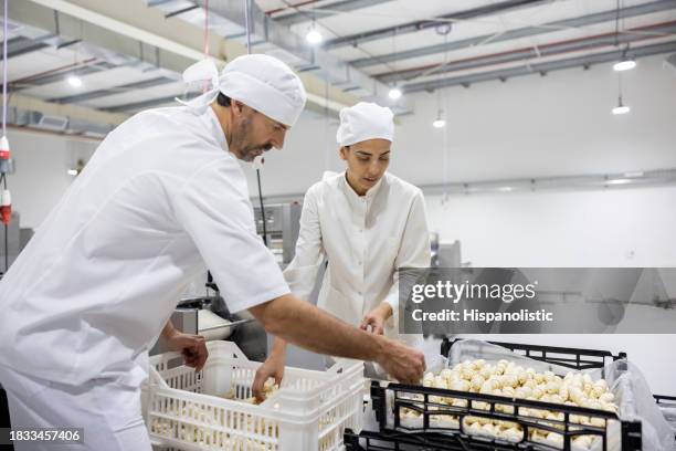 senior baker training a new employee at an industrial bakery - catering stockfoto's en -beelden