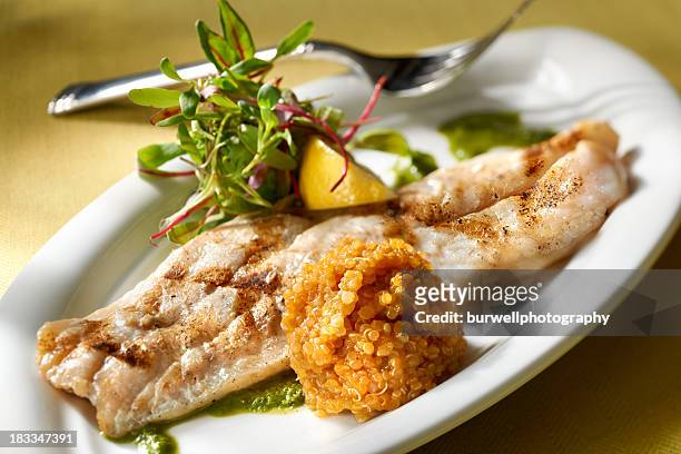 grilled red snapper fillet with quinoa and baby greens salad - rode snapper stockfoto's en -beelden