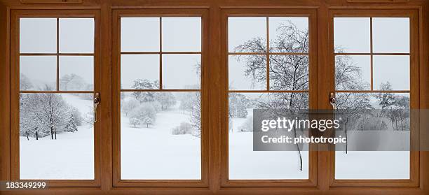 冬の庭園の眺め - window frame ストックフォトと画像