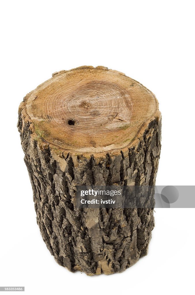 Oak stump