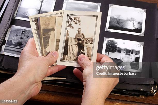 hände holing vintage-erinnerungen - family tree stock-fotos und bilder