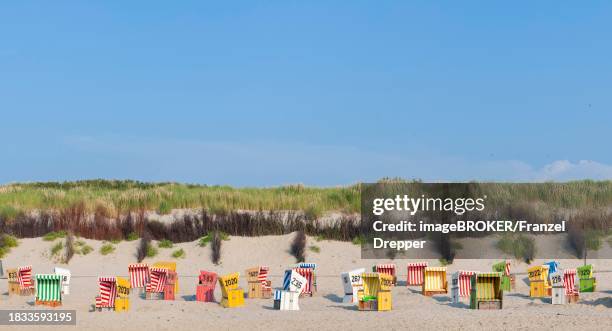 panorama with beach chairs, beach chair, colourful, summer, summer day, holiday on the beach of the north sea island langeoog, germany - ostfriesiska öarna bildbanksfoton och bilder