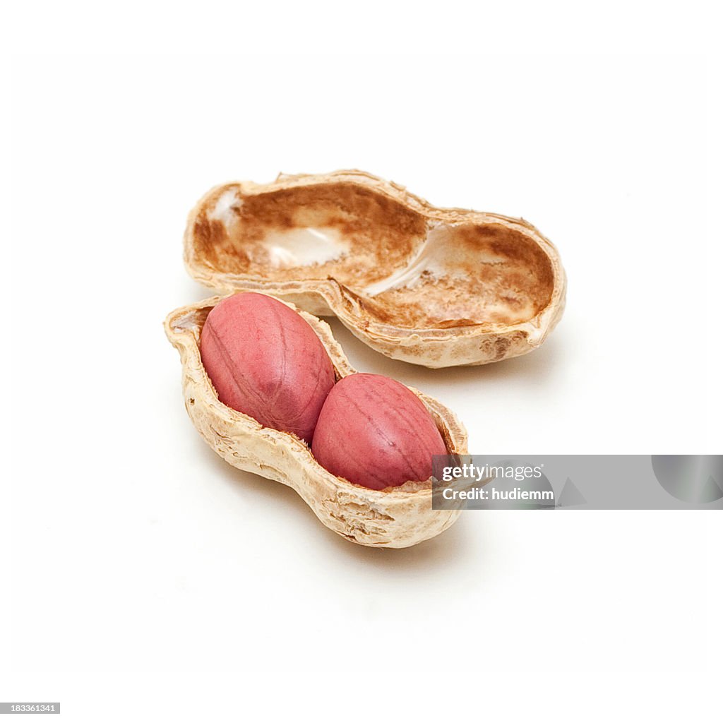 Peanut isolated on a white background
