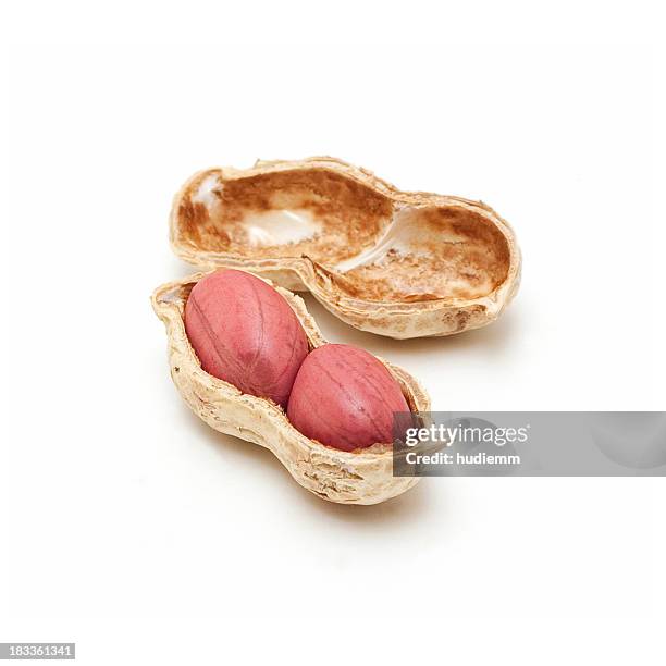 peanut isolated on a white background - peanut crop stock pictures, royalty-free photos & images