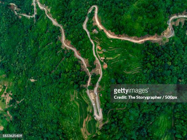 aerial view of winding road amidst trees in forest,panchkula,haryana,india - the storygrapher fotografías e imágenes de stock
