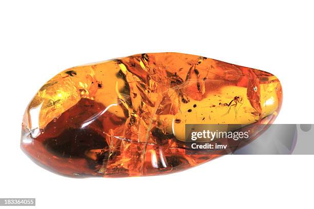 baltic amber - amber stockfoto's en -beelden