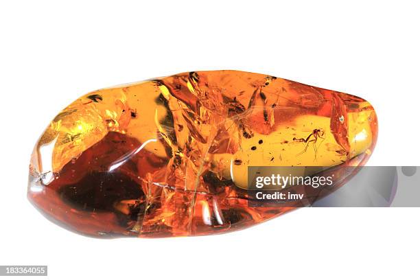 baltic amber - gemstone stock pictures, royalty-free photos & images