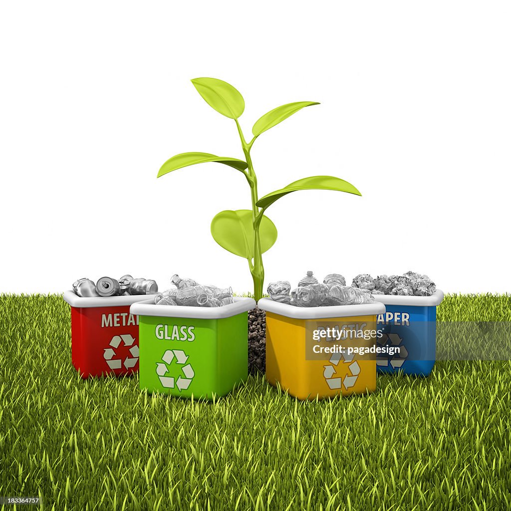 Recycling bins and plant