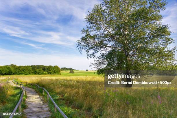 scenic view of field against sky - bernd dembkowski stock pictures, royalty-free photos & images