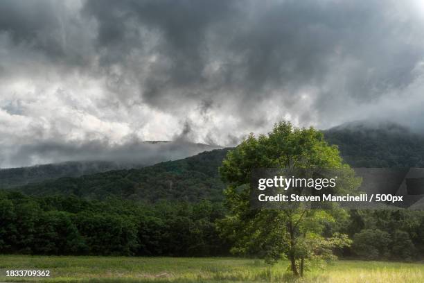 trees on field against sky,shandaken,new york,united states,usa - shandaken stock pictures, royalty-free photos & images