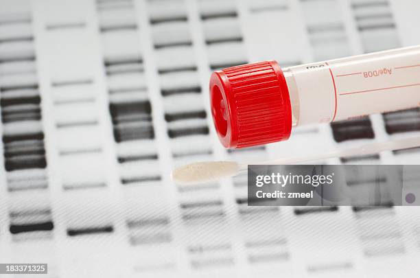 dna test - cotton swab stock pictures, royalty-free photos & images