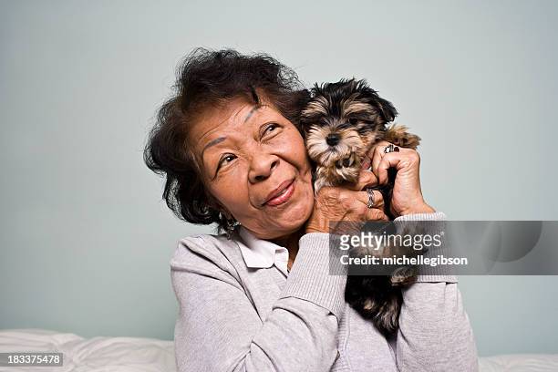 senior frau hält einen hund - woman holding dog studio stock-fotos und bilder