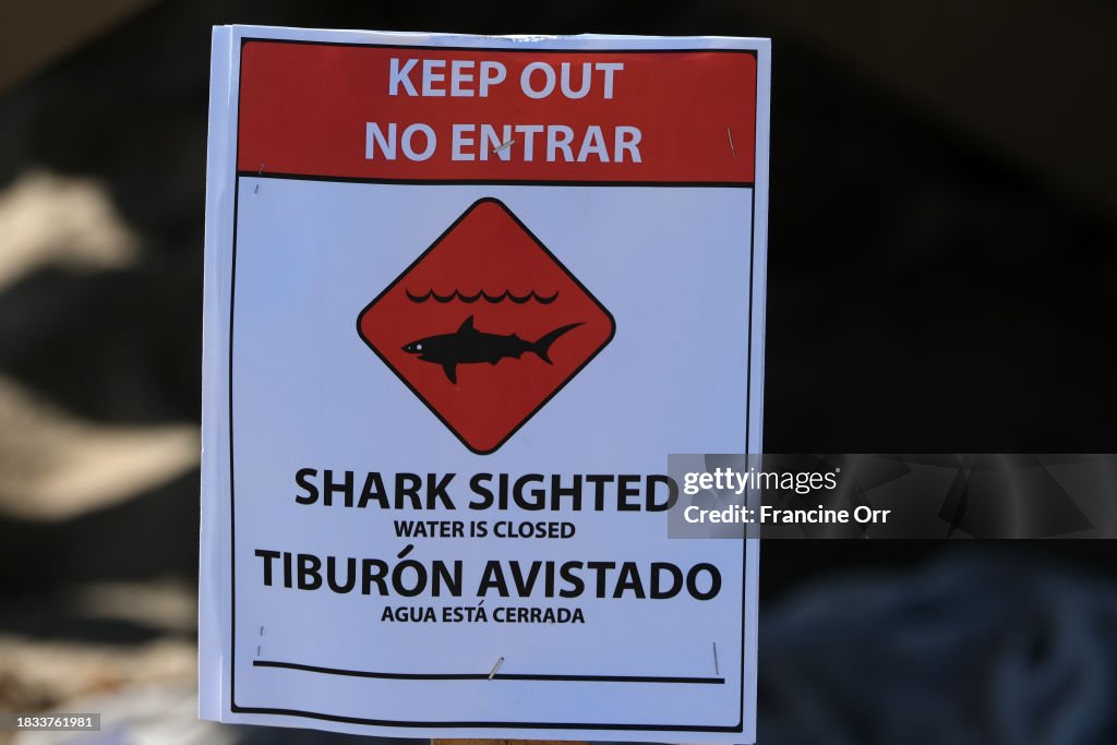 A section of Sunset Beach in the city of Huntington Beach was closed today after an injured juvenileÌýwhaleÌýbecame beached and people reported seeing aggressive shark activity. The shark andÌýwhaleÌýsightings occurred about 3:45 p.m. Sunday on a stretch