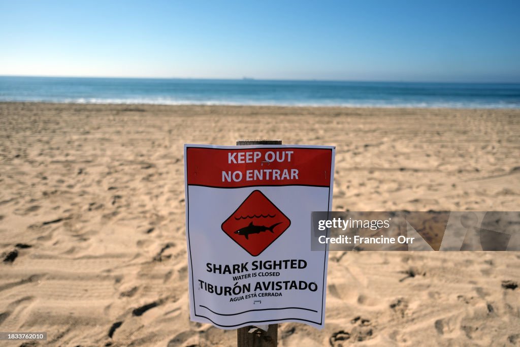 A section of Sunset Beach in the city of Huntington Beach was closed today after an injured juvenileÌýwhaleÌýbecame beached and people reported seeing aggressive shark activity. The shark andÌýwhaleÌýsightings occurred about 3:45 p.m. Sunday on a stretch