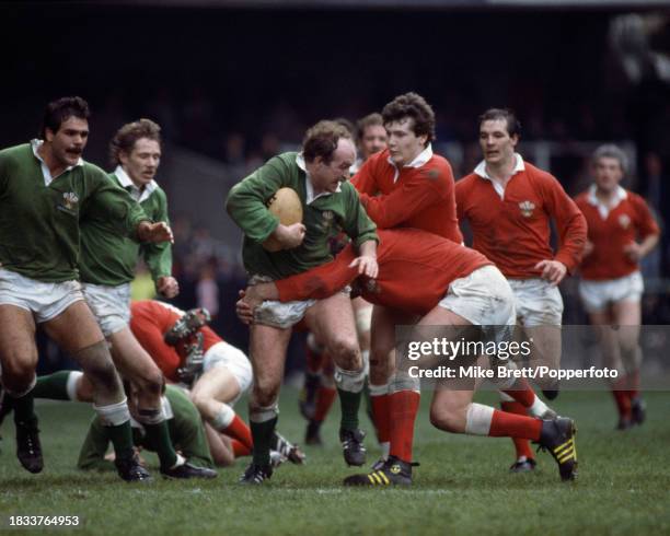 Mike Raftery Mike Rafter Photos and Premium High Res Pictures - Getty Images
