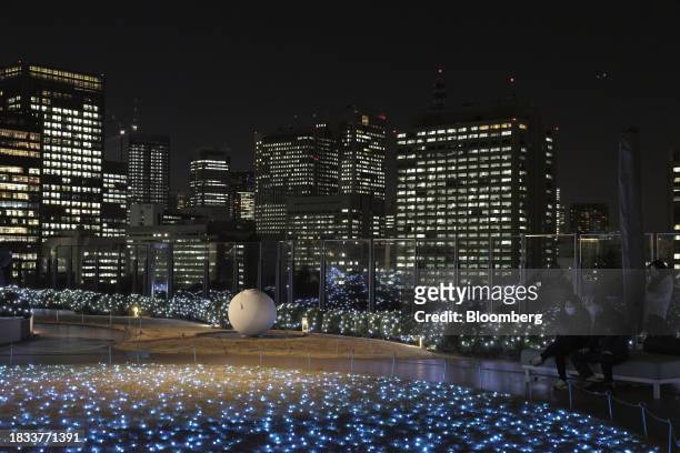 Park View Garden decorated with lights at Tokyo Midtown Hibiya in the Yurakucho area of Tokyo, Japan, on Friday, Japan, on Dec. 8, 2023. Inflation...