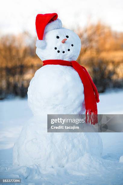 backyard snow man - sneeuwpop stockfoto's en -beelden
