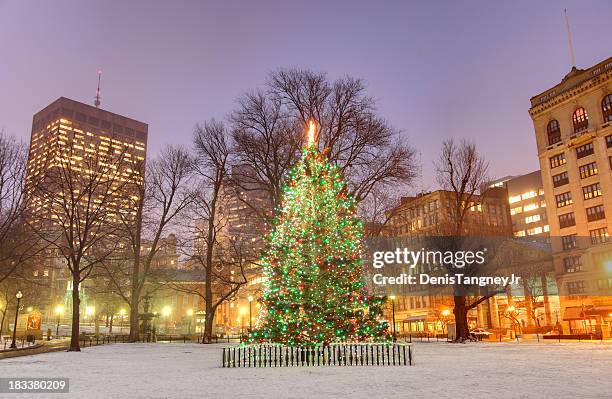 holidays in boston - boston common stock pictures, royalty-free photos & images