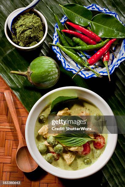 el curry verde tailandés con pollo - thai ethnicity fotografías e imágenes de stock
