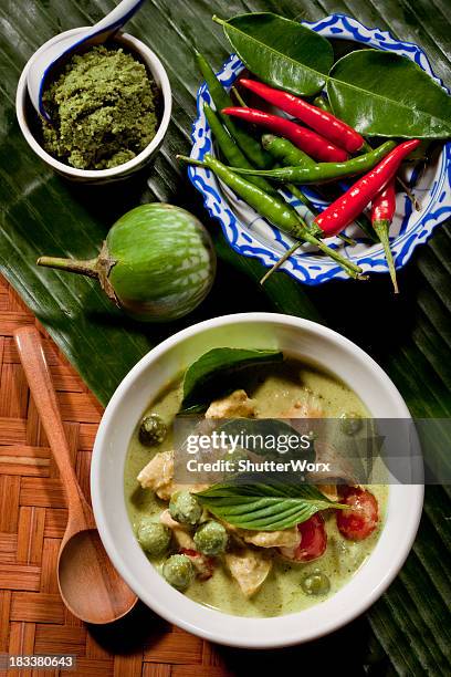 thai green curry with chicken - curry stock pictures, royalty-free photos & images