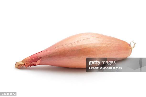 shallot - sjalot stockfoto's en -beelden