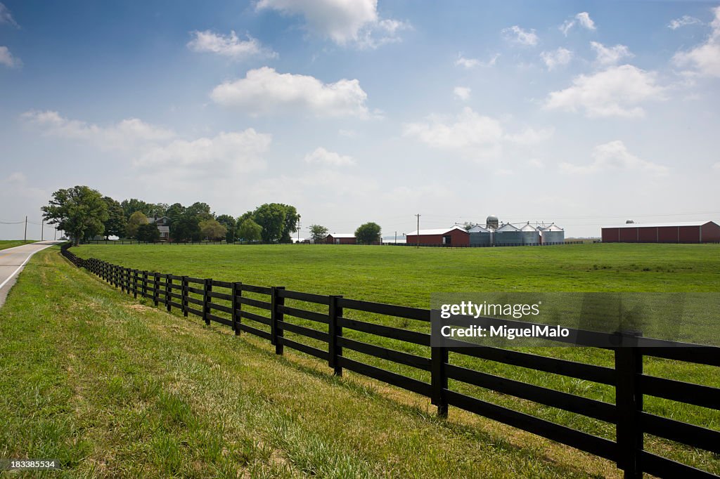 A fenced, green field, with farm buildings in the distance