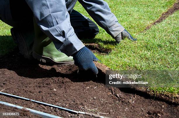 nuovo territorio viene posizionato nel giardino in primavera - campo in erba foto e immagini stock