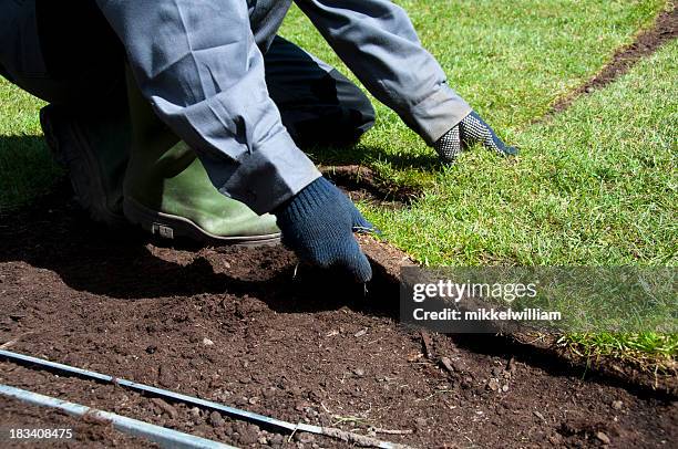 new turf is being placed in the garden in spring - roll up stock pictures, royalty-free photos & images