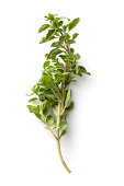 Fresh Herbs: Oregano Isolated on White Background