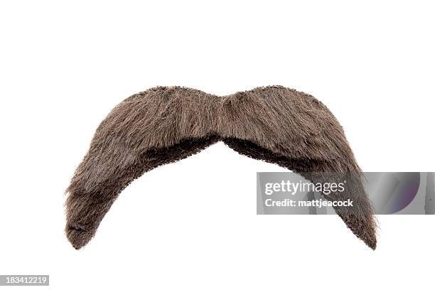isolated mustache - moustache isolated stock pictures, royalty-free photos & images