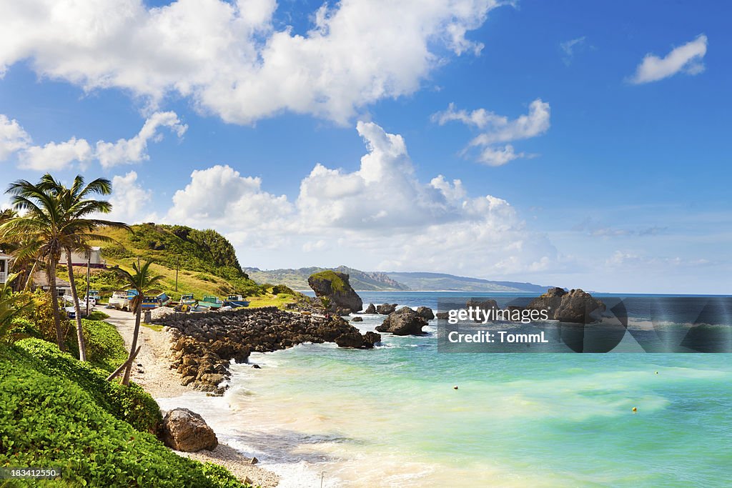 Bathsheba, Barbados.
