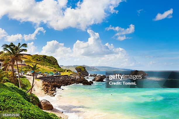 bathsheba, barbados. - barbados beach stock pictures, royalty-free photos & images