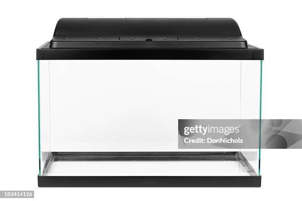 novo vazio aquário - aquário edifício para cativeiro animal imagens e fotografias de stock