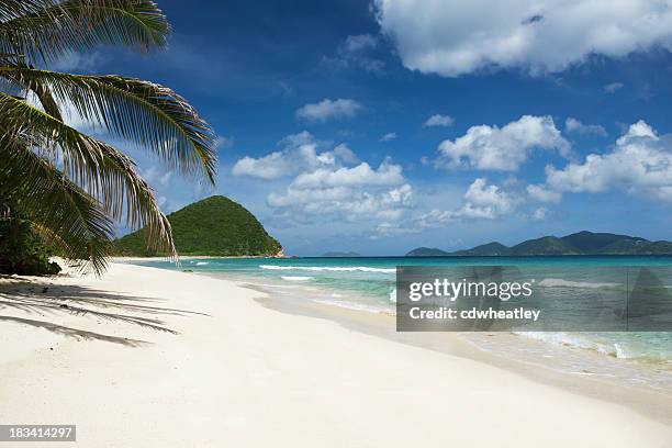 long bay and belmont point in tortola, british virgin islands - veleiding stockfoto's en -beelden