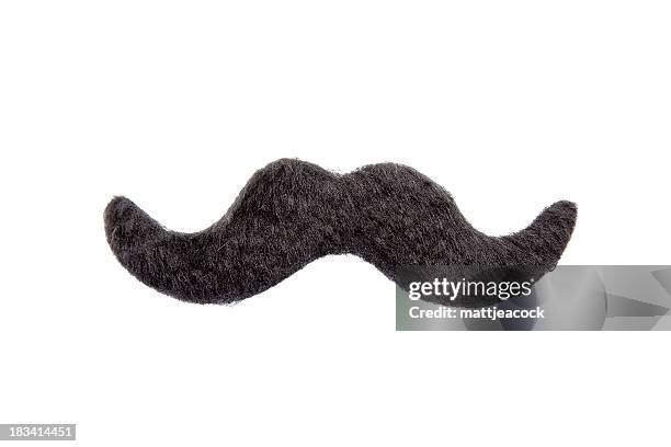 aislado bigote - bigote fotografías e imágenes de stock