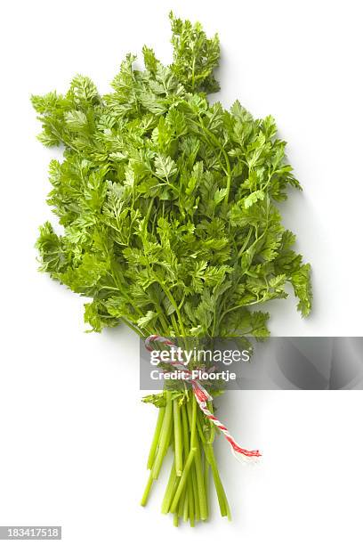 fresh herbs: chervil - chervil stock pictures, royalty-free photos & images
