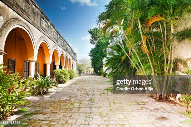 hacienda yaxcopoil - yucatán schiereiland stockfoto's en -beelden