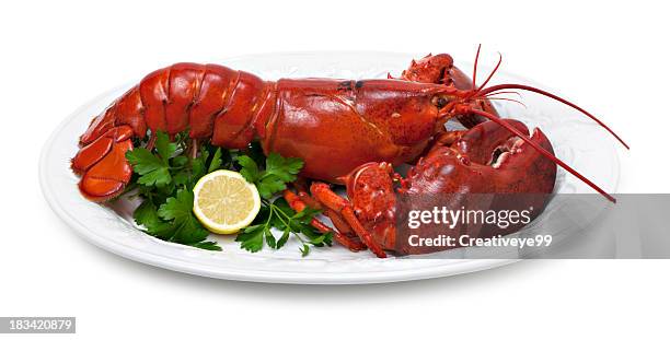 plato de langosta - lobster fotografías e imágenes de stock