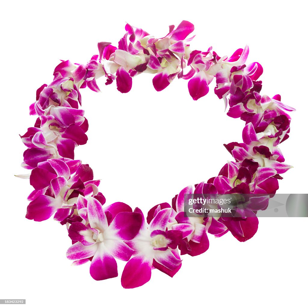 Close-up of a purple and white lei over white background