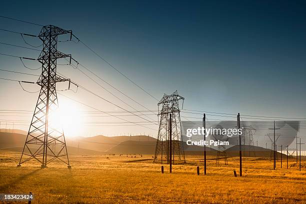 powerlines in california usa - rede elétrica imagens e fotografias de stock