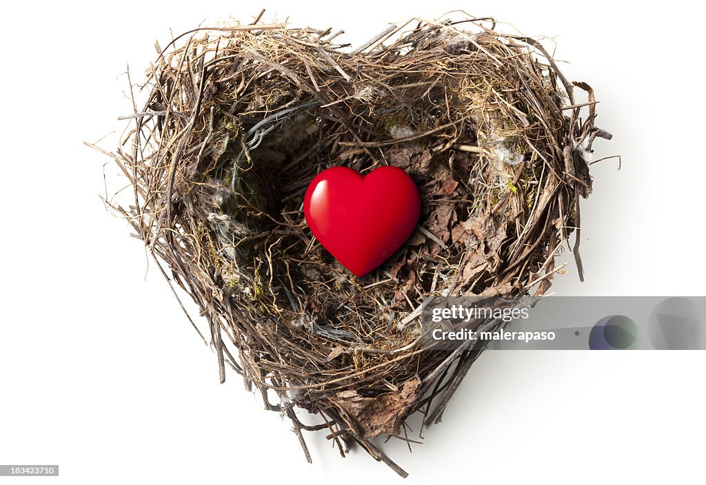 Love-nest
