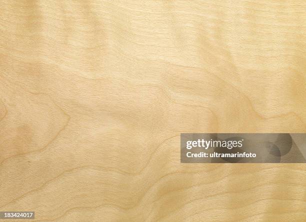 wood  texture - birch geflammt - berk stockfoto's en -beelden