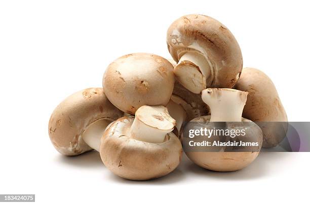 chestnut mushrooms - mushroom isolated stock pictures, royalty-free photos & images