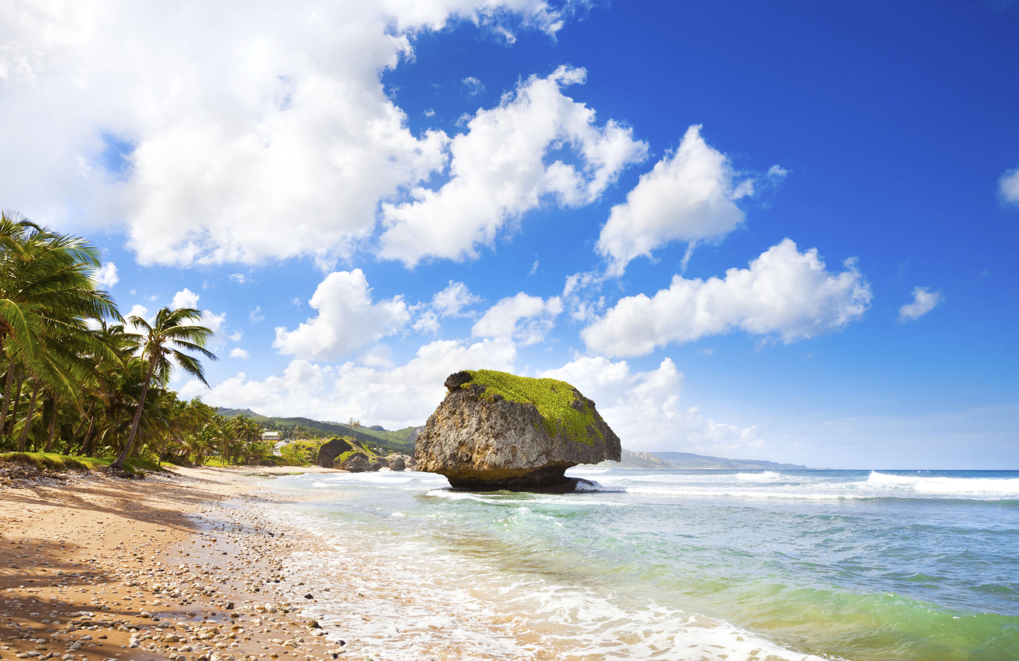 barbados landscape