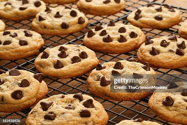 freshly baked chocolate chip cookies - chocoladekoekje stockfoto's en -beelden