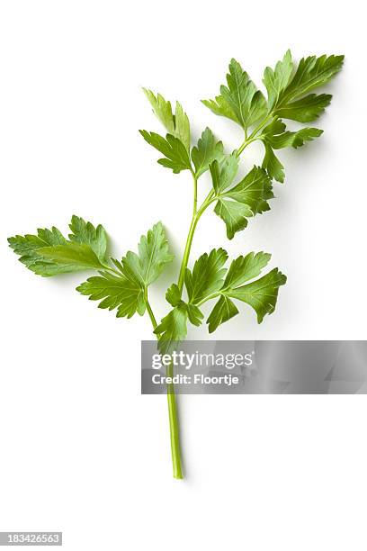 fresh herbs: celery - parsley stock pictures, royalty-free photos & images