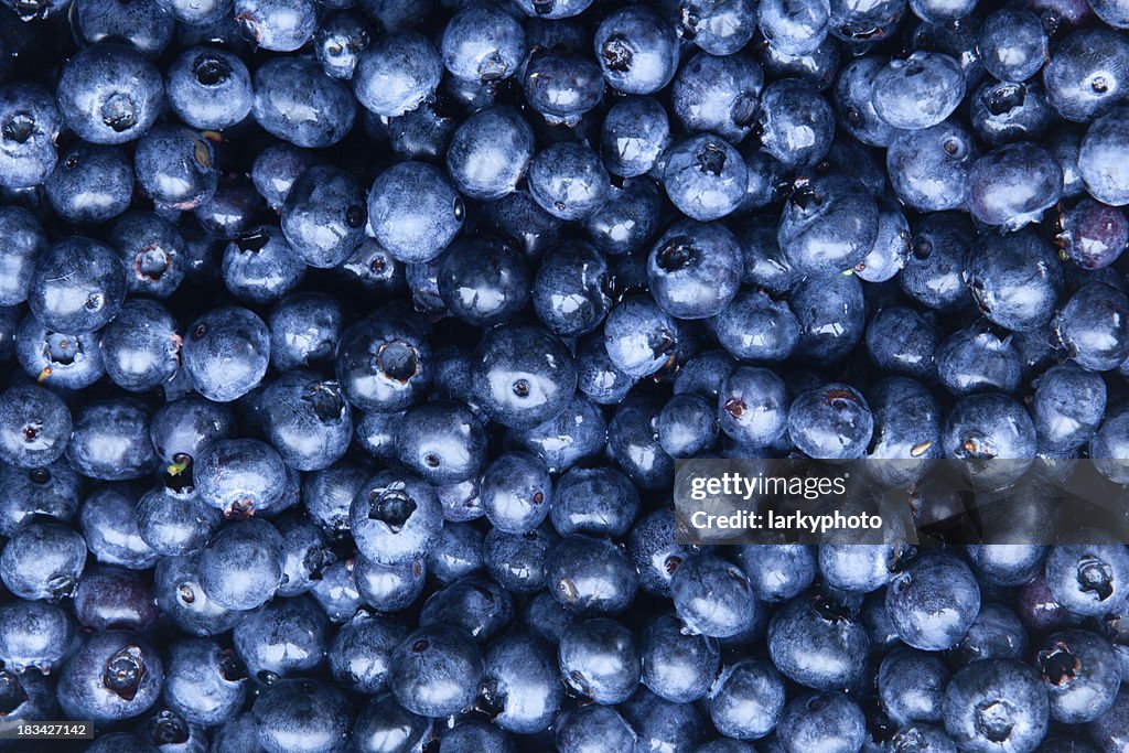 Freshly collected blueberries