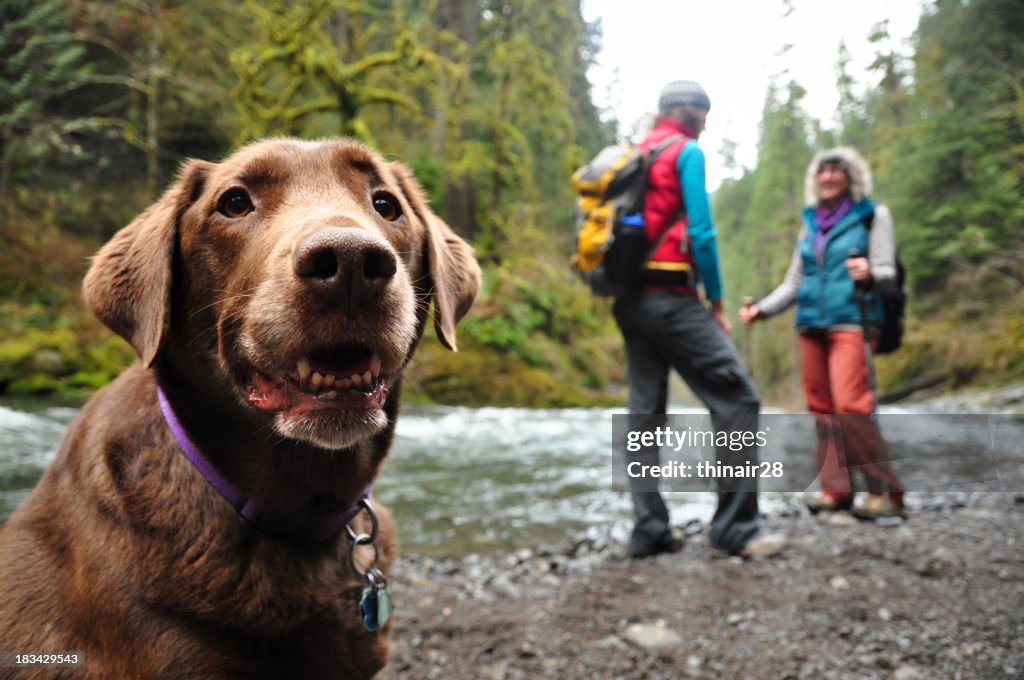 Happy hiking dog